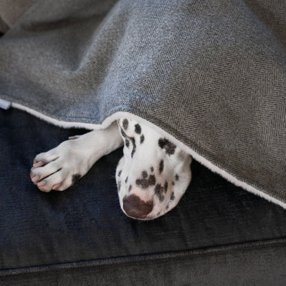 Discover Our Luxurious Pewter Herringbone Tweed Dog Blanket With Super Soft Sherpa & Teddy Fleece, The Perfect Blanket For Puppies, Available To Personalise And In 2 Sizes Here at Lords & Labradors