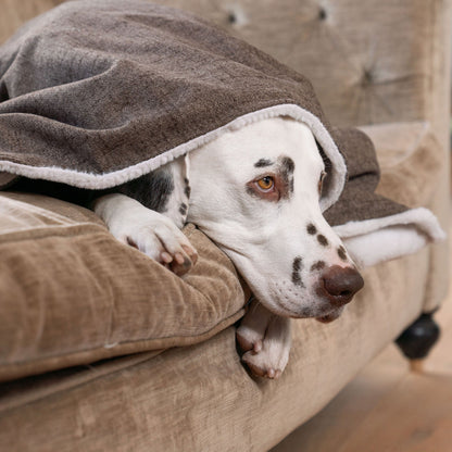 Discover The Perfect Blanket For Dogs! Help Delve Into a Cosy Burrow After Walks, Bath-Time or a Lazy Day Indoors! With Our Inchmurrin Dog Blanket In Stunning Brown Ember! Available To Personalise Now at Lords & Labradors 