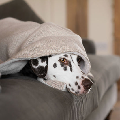 Discover Our Luxurious Natural Herringbone Tweed Dog Blanket With Super Soft Sherpa & Teddy Fleece, The Perfect Blanket For Puppies, Available To Personalise And In 2 Sizes Here at Lords & Labradors