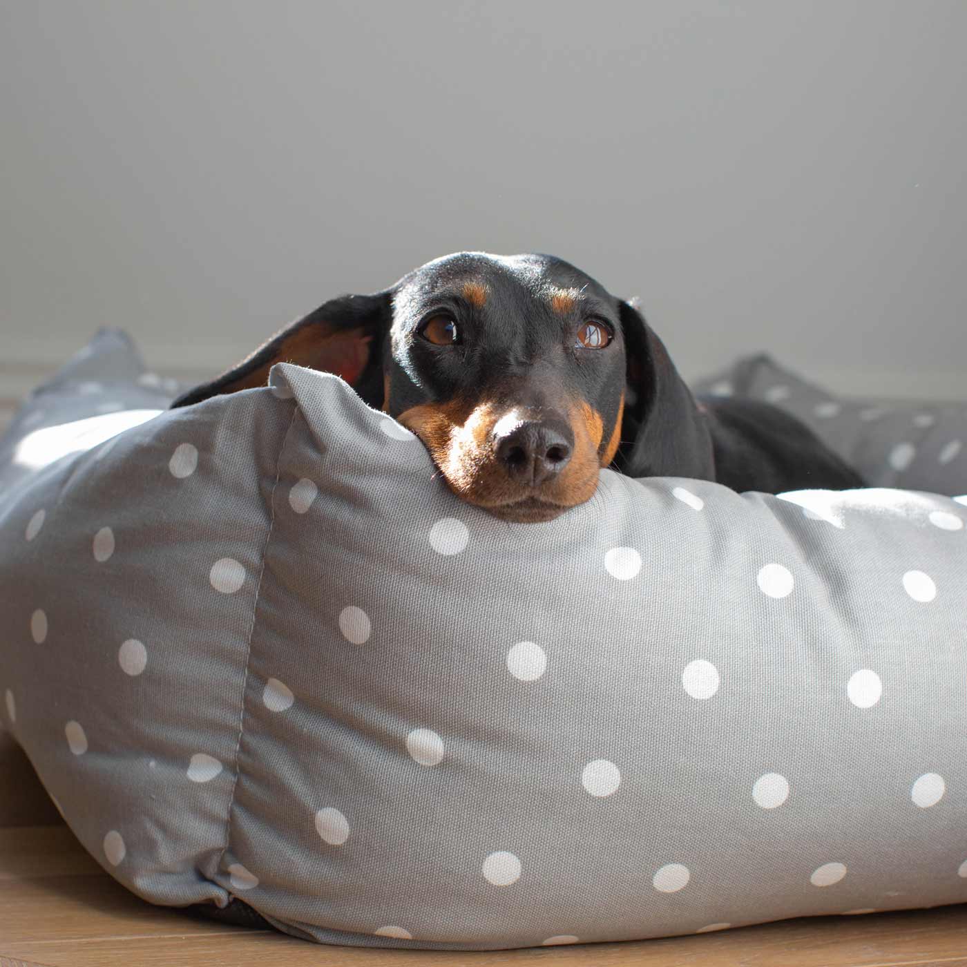 Luxury, Handmade Box Bed For Dogs, A Stunning Grey Spot Dog Bed Perfect For Your Pets Nap Time! Available at Lords & Labradors