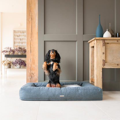 Discover Our Luxurious Comfort Cube Dog Bed in Anthracite (Navy), featuring Removable covers for easy machine washing and a non slip wipeable base. This super soft pet bed offers the ultimate comfort to your furry friend! Bringing Your Canine Companion The Perfect Bed For Dogs To Curl Up To! Available Now at Lords & Labradors