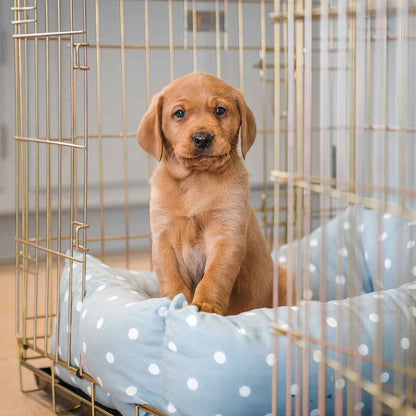  Cosy & Calm Puppy Crate Bed, The Perfect Dog Crate Accessory For The Ultimate Dog Den! In Stunning Duck Egg Spot! Available Now at Lords & Labradors