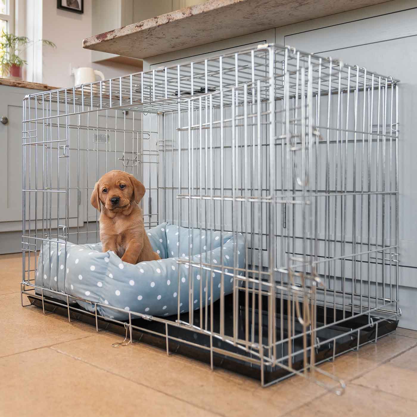  Cosy & Calm Puppy Crate Bed, The Perfect Dog Crate Accessory For The Ultimate Dog Den! In Stunning Duck Egg Spot! Available Now at Lords & Labradors