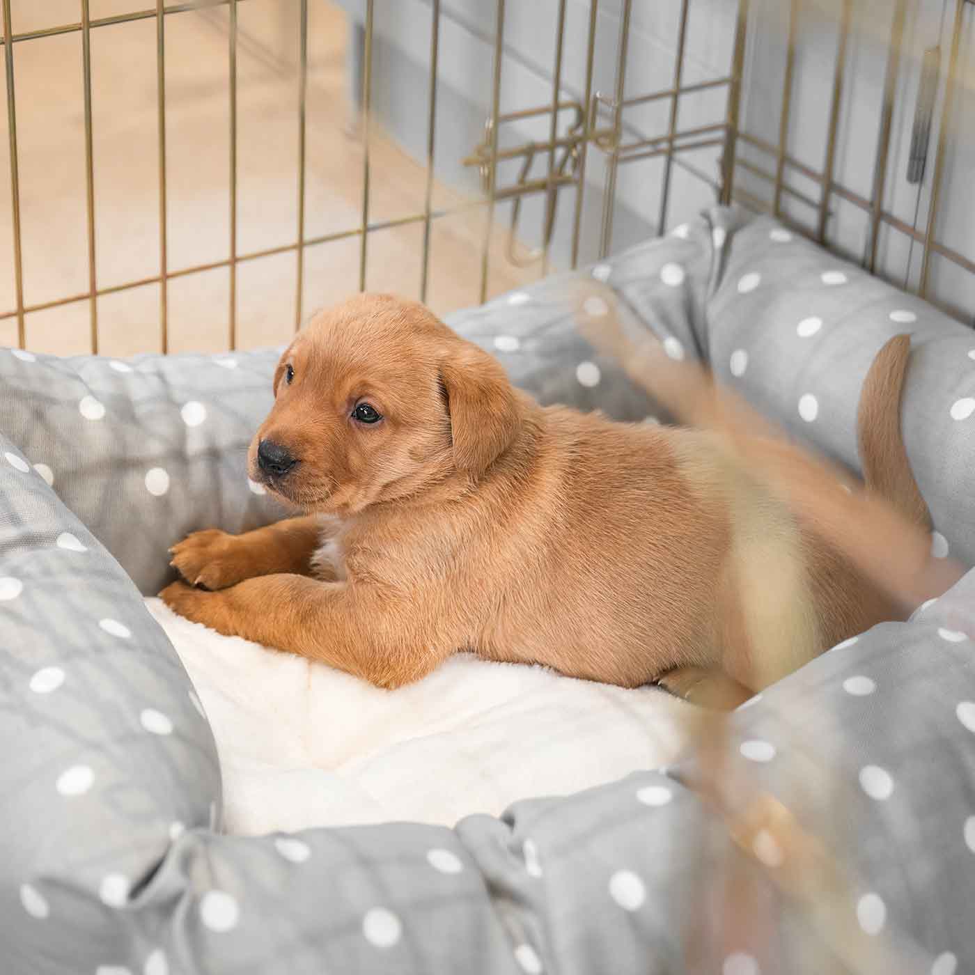  Cosy & Calm Puppy Crate Bed, The Perfect Dog Crate Accessory For The Ultimate Dog Den! In Stunning Grey Spot! Available Now at Lords & Labradors