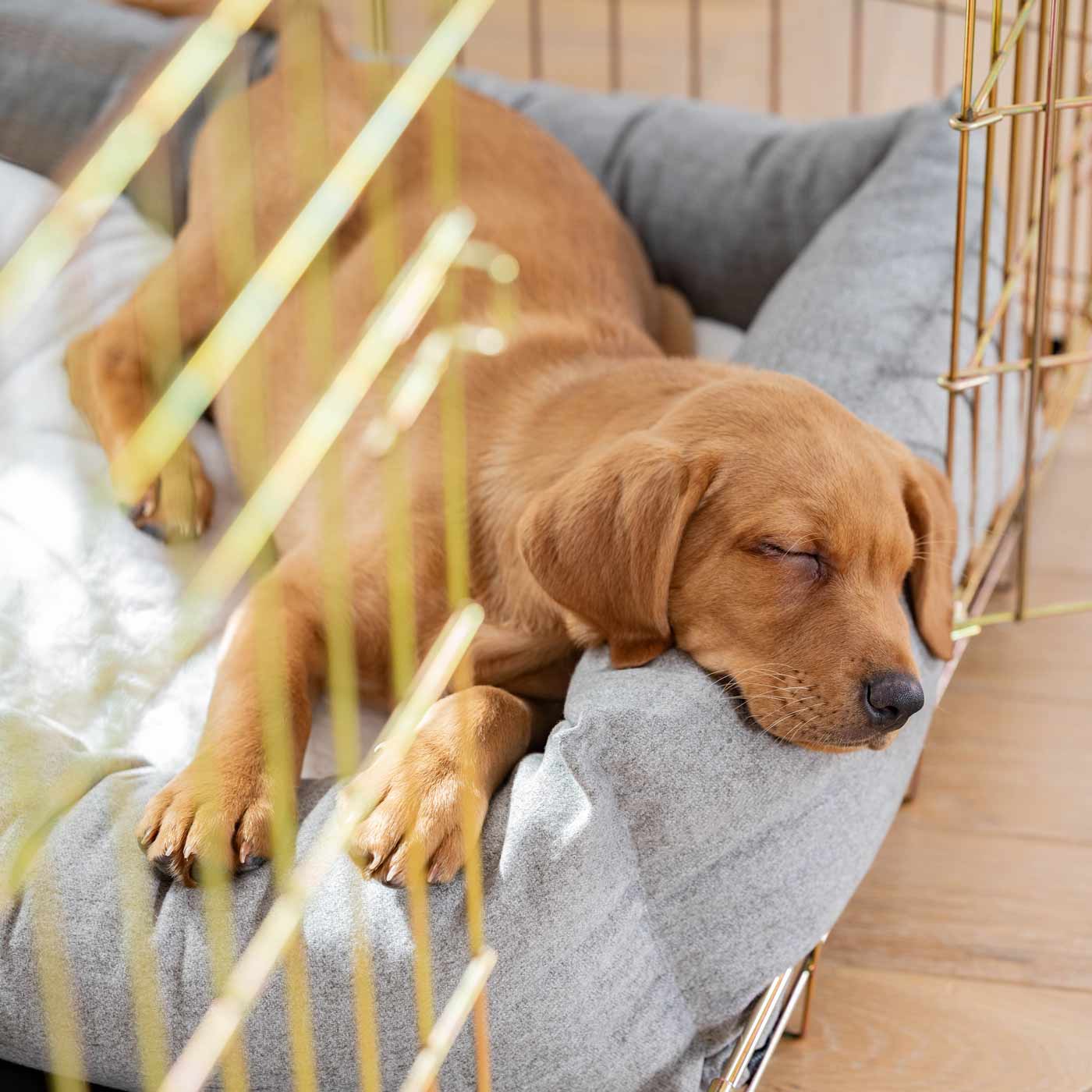 Inchmurrin Cosy & Calm Puppy Box Bed, The Perfect Dog Crate Bed For Pets! To Build The Ultimate Dog Den! In Dark Grey Inchmurrin Ground! Available To Personalise Now at Lords & Labradors