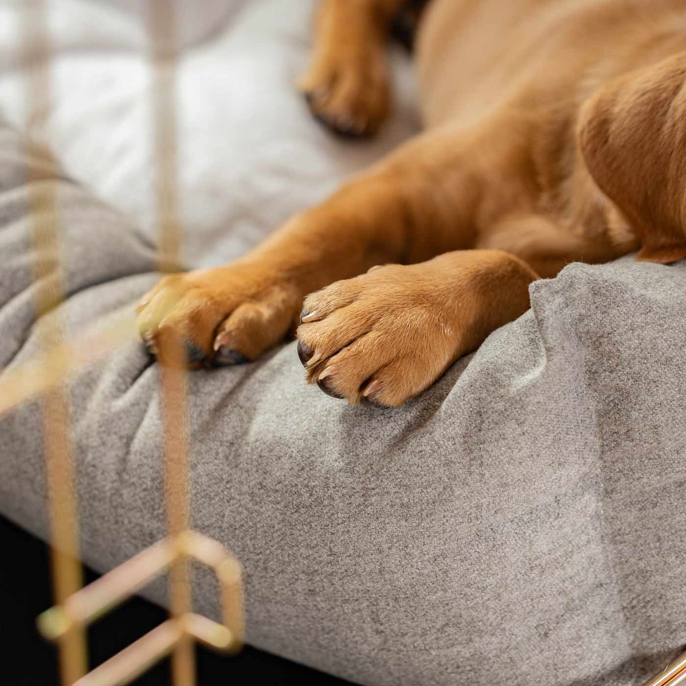 Inchmurrin Cosy & Calm Puppy Box Bed, The Perfect Dog Crate Bed For Pets! To Build The Ultimate Dog Den! In Dark Grey Inchmurrin Ground! Available To Personalise Now at Lords & Labradors