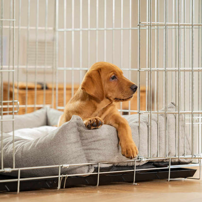 Inchmurrin Cosy & Calm Puppy Box Bed, The Perfect Dog Crate Bed For Pets! To Build The Ultimate Dog Den! In Dark Grey Inchmurrin Ground! Available To Personalise Now at Lords & Labradors