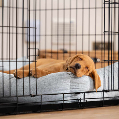 Inchmurrin Cosy & Calm Puppy Box Bed, The Perfect Dog Crate Bed For Pets! To Build The Ultimate Dog Den! In Light Grey Inchmurrin Iceberg! Available To Personalise Now at Lords & Labradors 