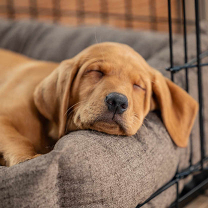 Inchmurrin Cosy & Calm Puppy Box Bed, The Perfect Dog Crate Bed For Pets! To Build The Ultimate Dog Den! In Brown Inchmurrin Ember! Available To Personalise Now at Lords & Labradors 