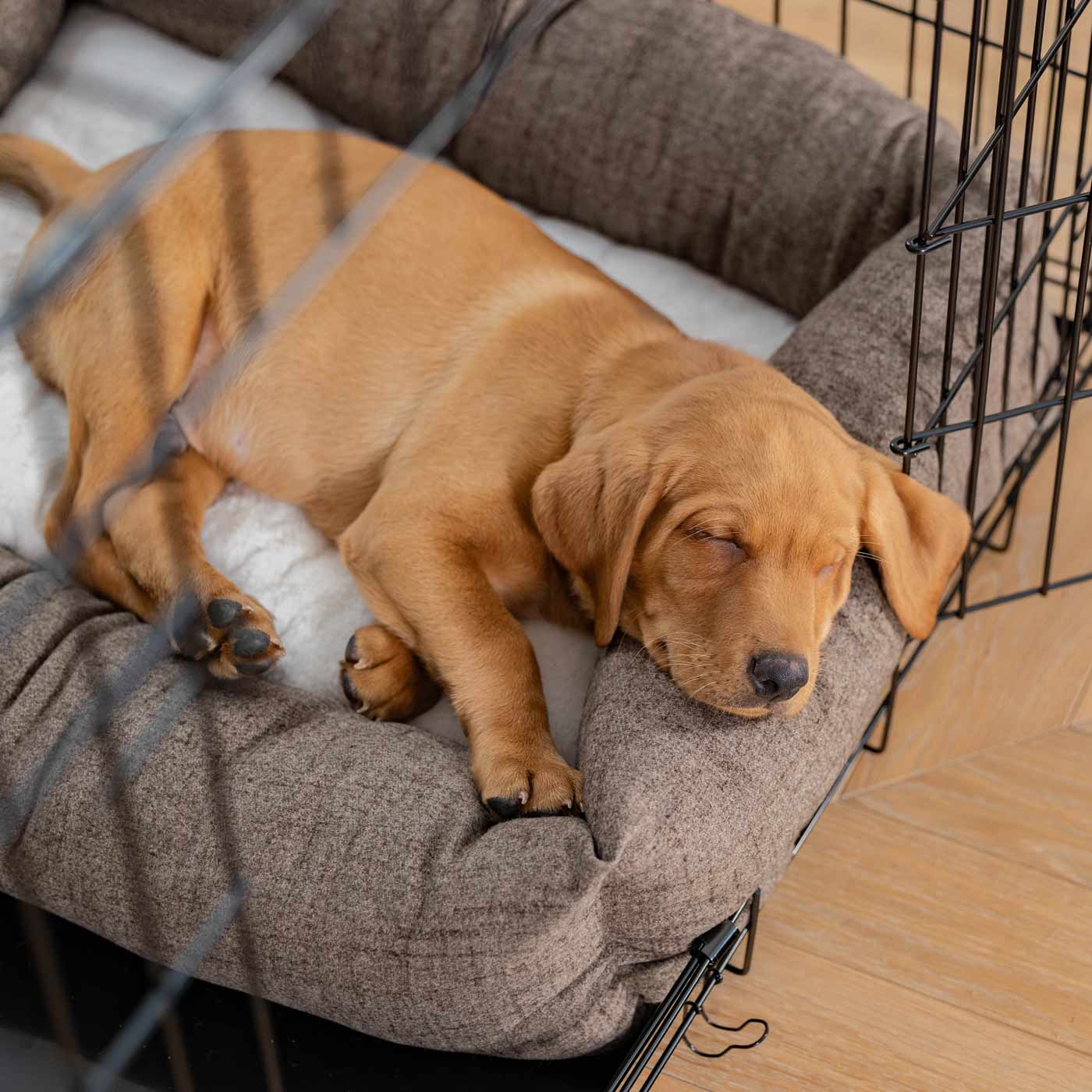 Inchmurrin Cosy & Calm Puppy Box Bed, The Perfect Dog Crate Bed For Pets! To Build The Ultimate Dog Den! In Brown Inchmurrin Ember! Available To Personalise Now at Lords & Labradors 