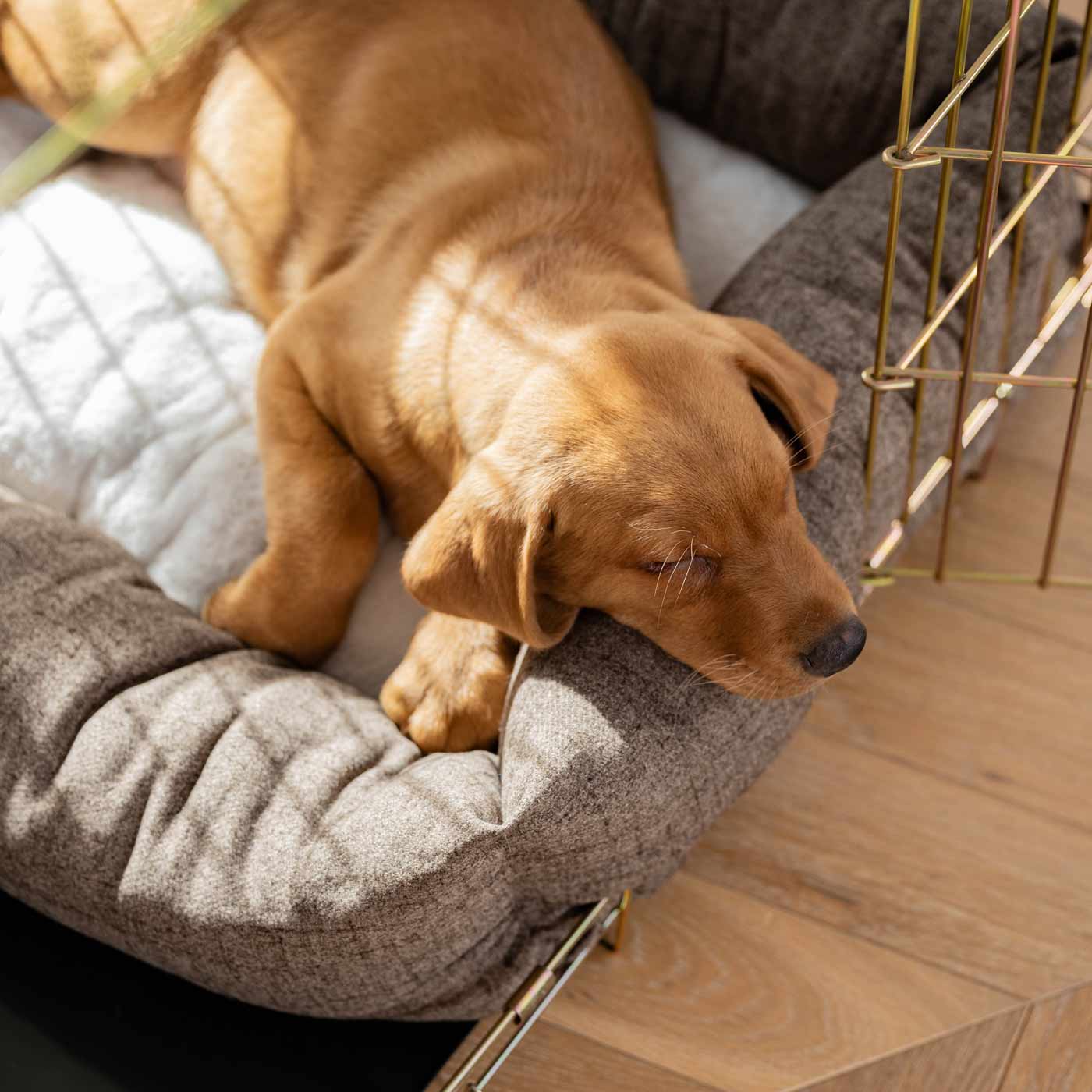 Inchmurrin Cosy & Calm Puppy Box Bed, The Perfect Dog Crate Bed For Pets! To Build The Ultimate Dog Den! In Brown Inchmurrin Ember! Available To Personalise Now at Lords & Labradors 