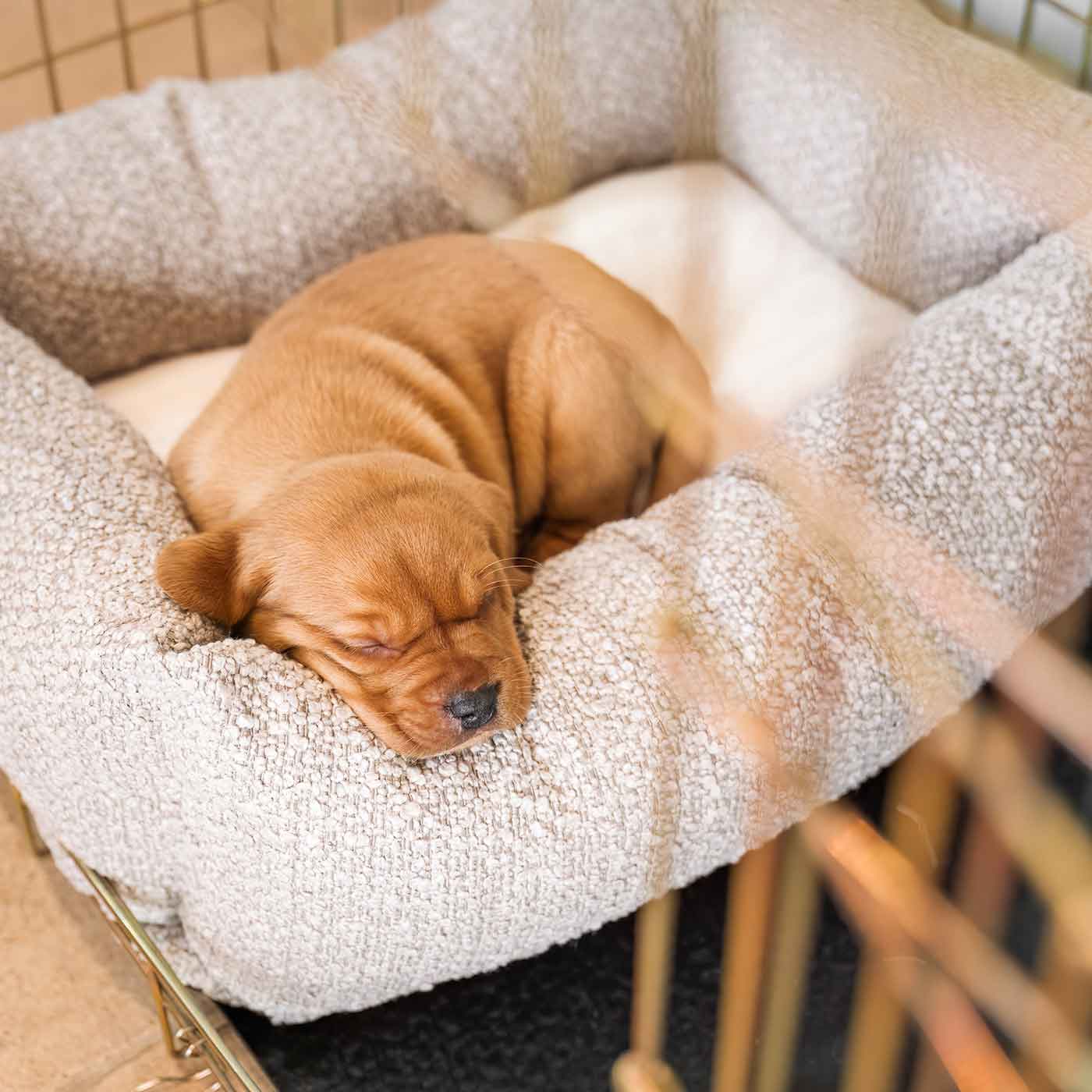  Cosy & Calm Puppy Crate Bed, The Perfect Dog Crate Accessory For The Ultimate Dog Den! In Stunning Mink Bouclé! Available To Personalise at Lords & Labradors 