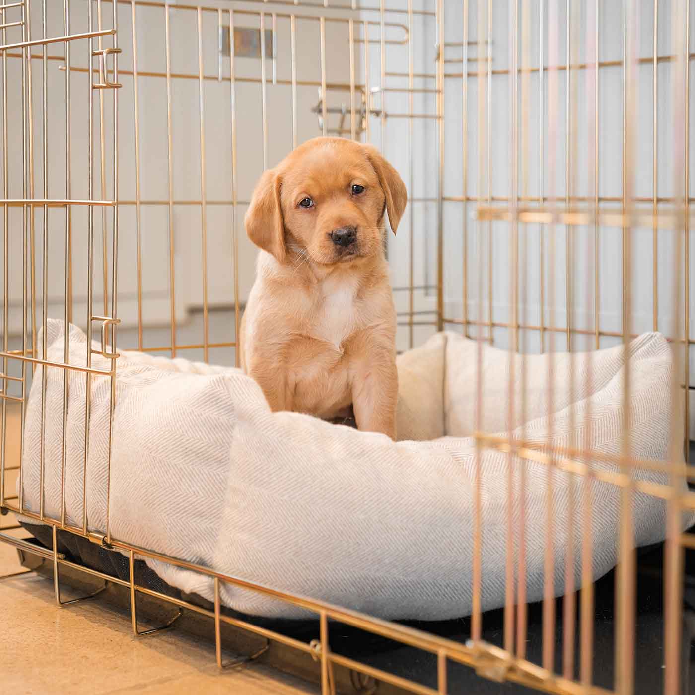  Cosy & Calm Puppy Crate Bed, The Perfect Dog Crate Accessory For The Ultimate Dog Den! In Stunning Natural Herringbone Tweed! Available Now at Lords & Labradors