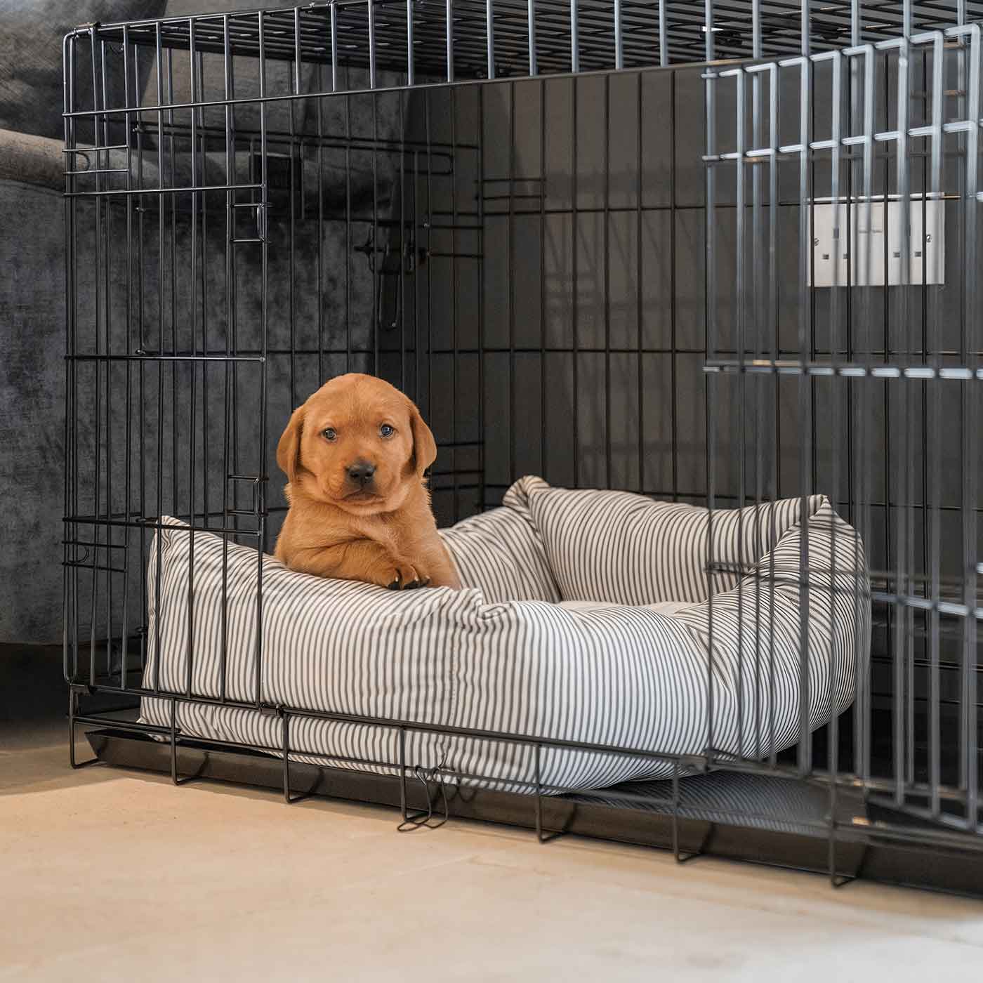 Cosy & Calm Puppy Crate Bed, The Perfect Dog Crate Accessory For The Ultimate Dog Den! In Stunning Regency Stripe! Available To Personalise at Lords & Labradors 