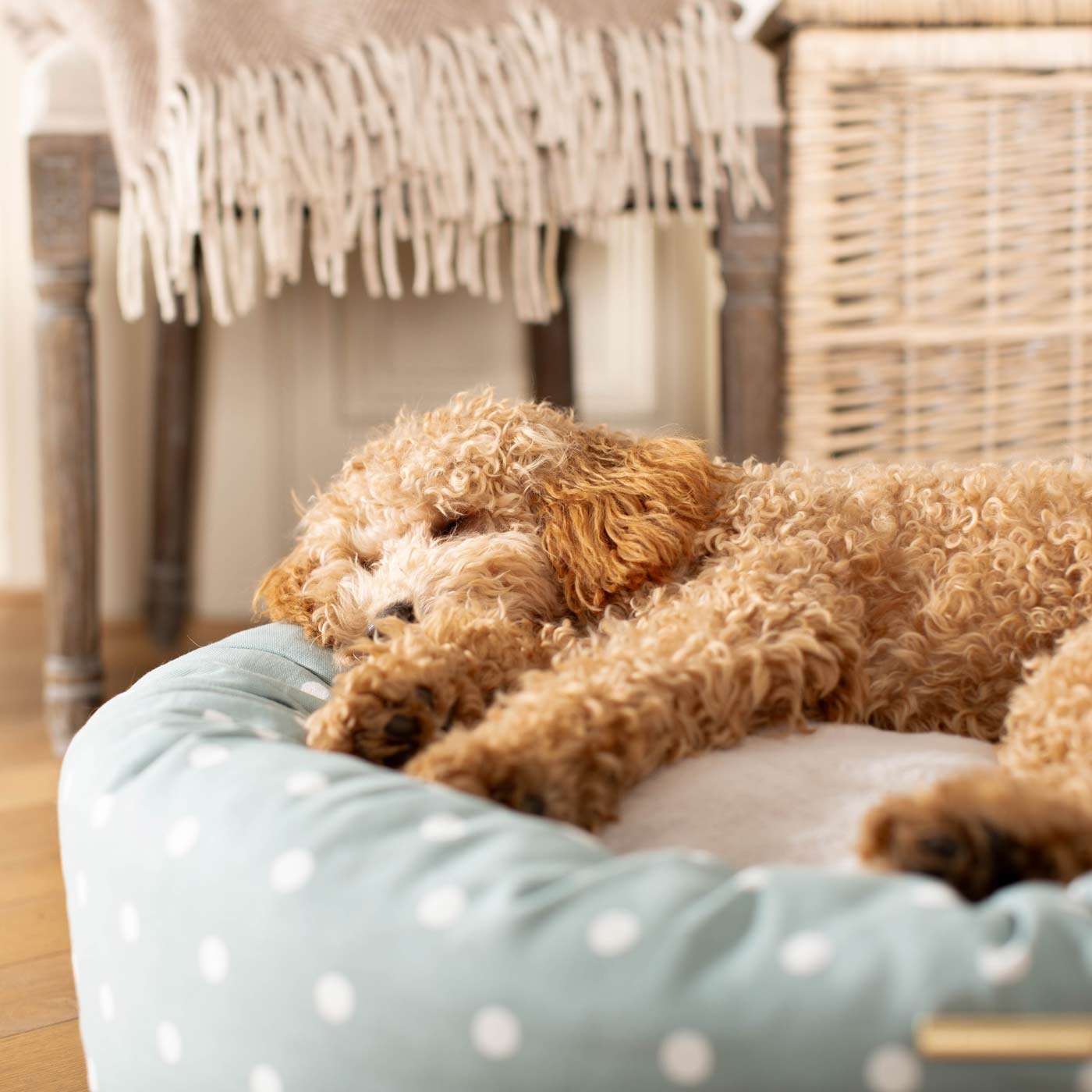 Discover Our Handmade Luxury Donut Dog Bed, In Duck Egg Spot, The Perfect Choice For Puppies Available Now at Lords & Labradors 