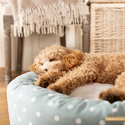 Discover Our Handmade Luxury Donut Dog Bed, In Duck Egg Spot, The Perfect Choice For Puppies Available Now at Lords & Labradors 