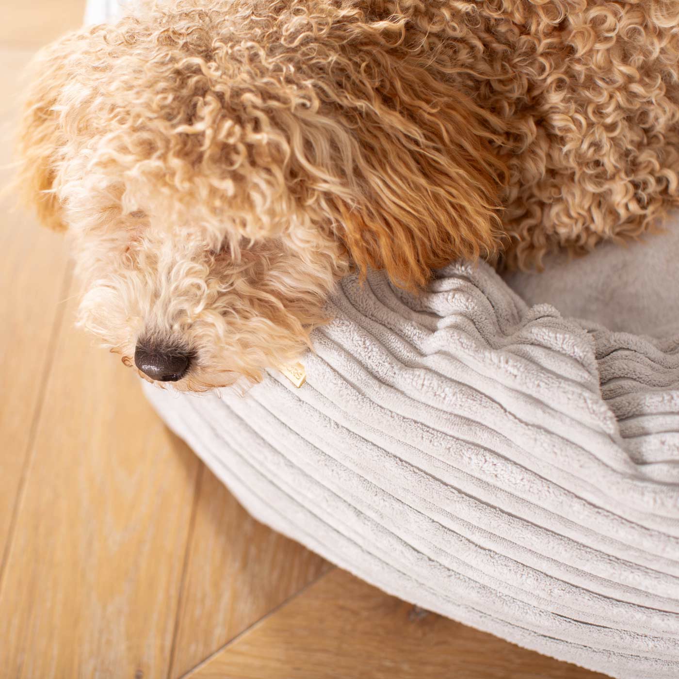 Discover Our Handmade Luxury Donut Dog Bed, In Light Grey Essentials Plush, The Perfect Choice For Puppies Available Now at Lords & Labradors