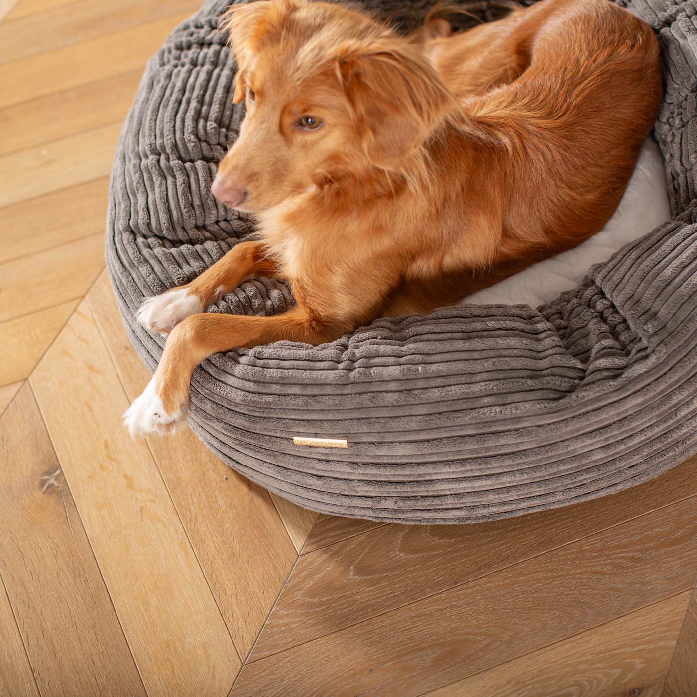 Discover Our Handmade Luxury Donut Dog Bed, In Dark Grey Essentials Plush, The Perfect Choice For Puppies Available Now at Lords & Labradors