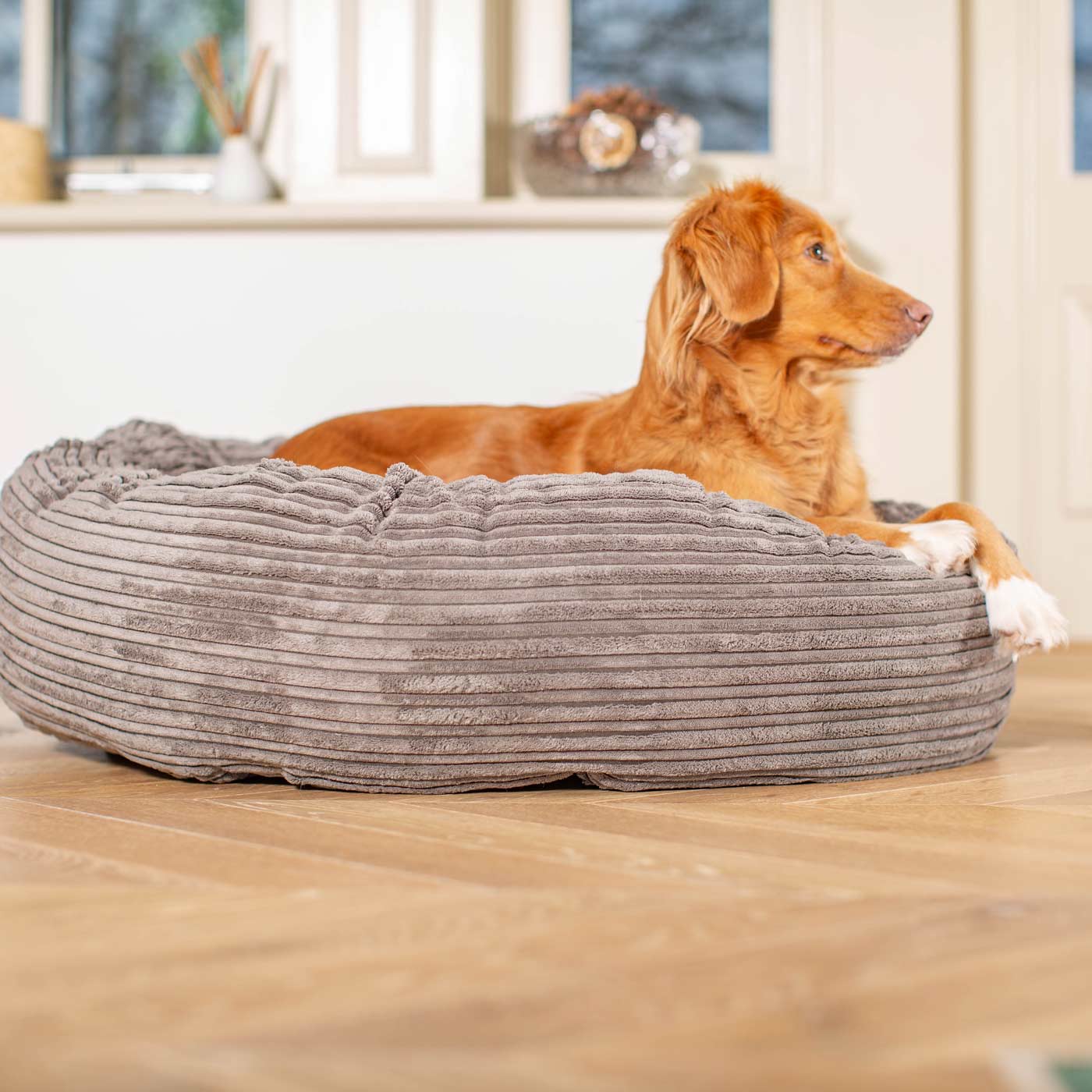 Discover Our Handmade Luxury Donut Dog Bed, In Dark Grey Essentials Plush, The Perfect Choice For Puppies Available Now at Lords & Labradors