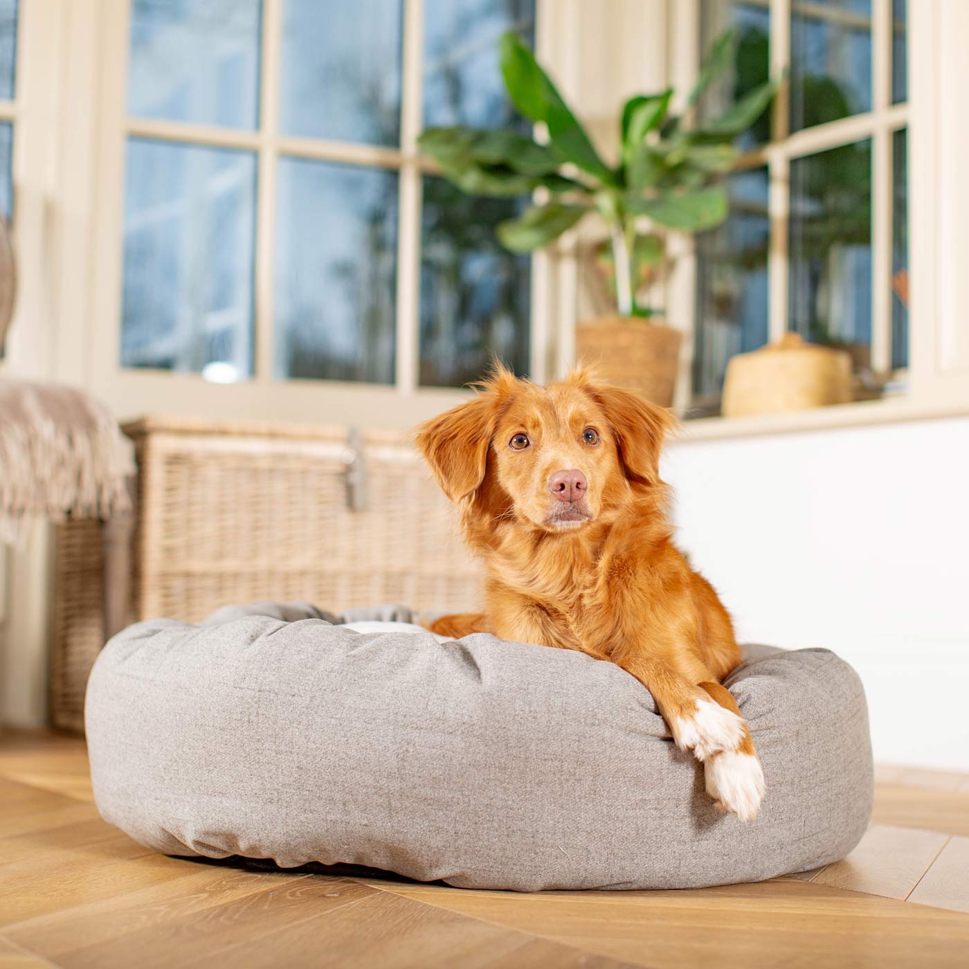 Donut Bed in Inchmurrin Ground By Lords & Labradors