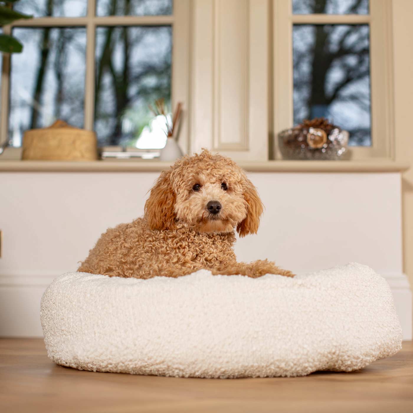 Discover Our Handmade Luxury Donut Dog Bed, In  Ivory Bouclé, The Perfect Choice For Puppies Available Now at Lords & Labradors