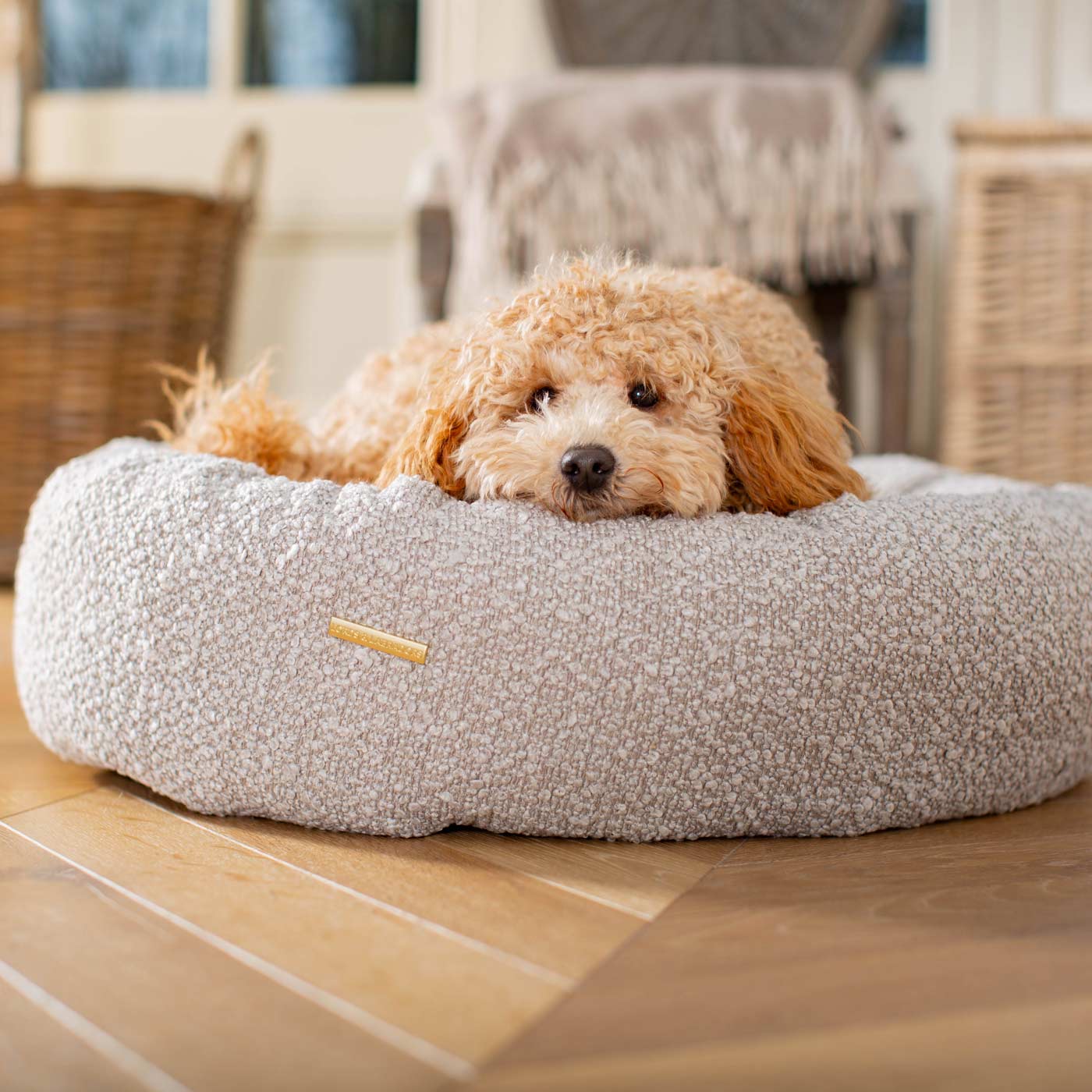 Discover Our Handmade Luxury Donut Dog Bed, In  Mink Bouclé, The Perfect Choice For Puppies Available Now at Lords & Labradors