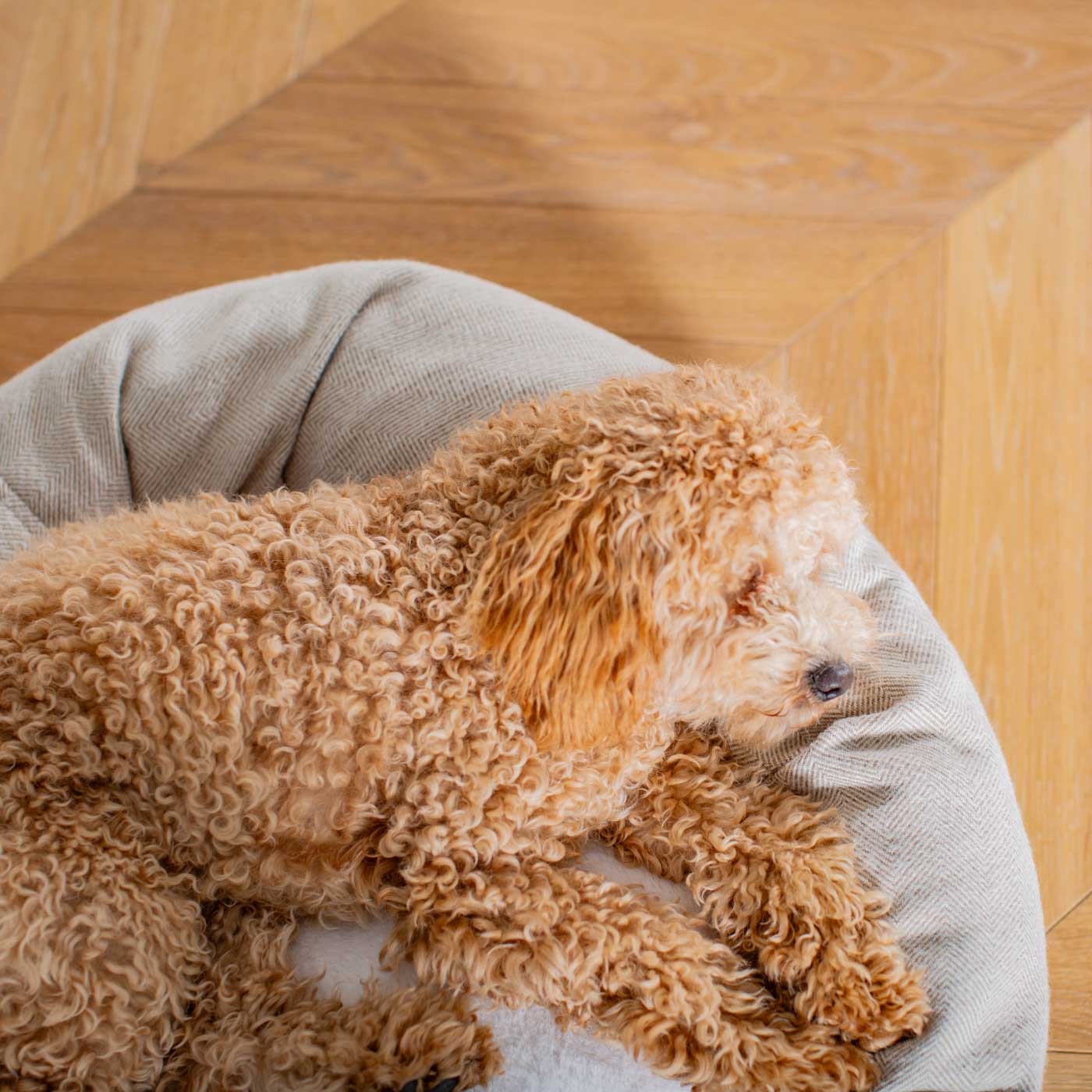 Discover Our Handmade Luxury Donut Dog Bed, In Natural Herringbone Tweed, The Perfect Choice For Puppies Available Now at Lords & Labradors