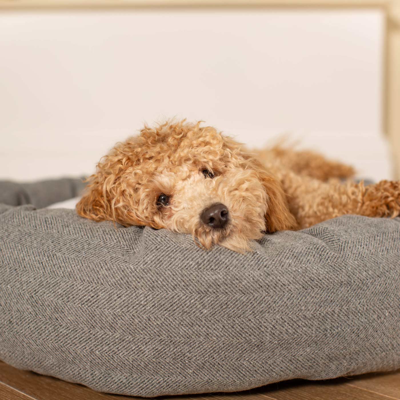 Discover Our Handmade Luxury Donut Dog Bed, In Pewter Herringbone Tweed, The Perfect Choice For Puppies Available Now at Lords & Labradors 