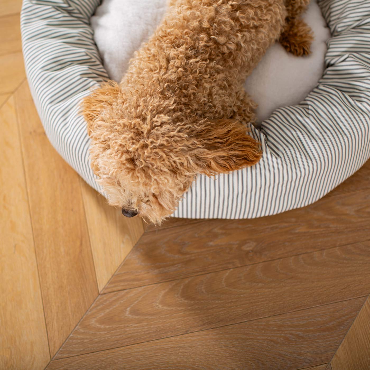 Discover Our Handmade Luxury Donut Dog Bed, In Regency Stripe, The Perfect Choice For Puppies Available Now at Lords & Labradors