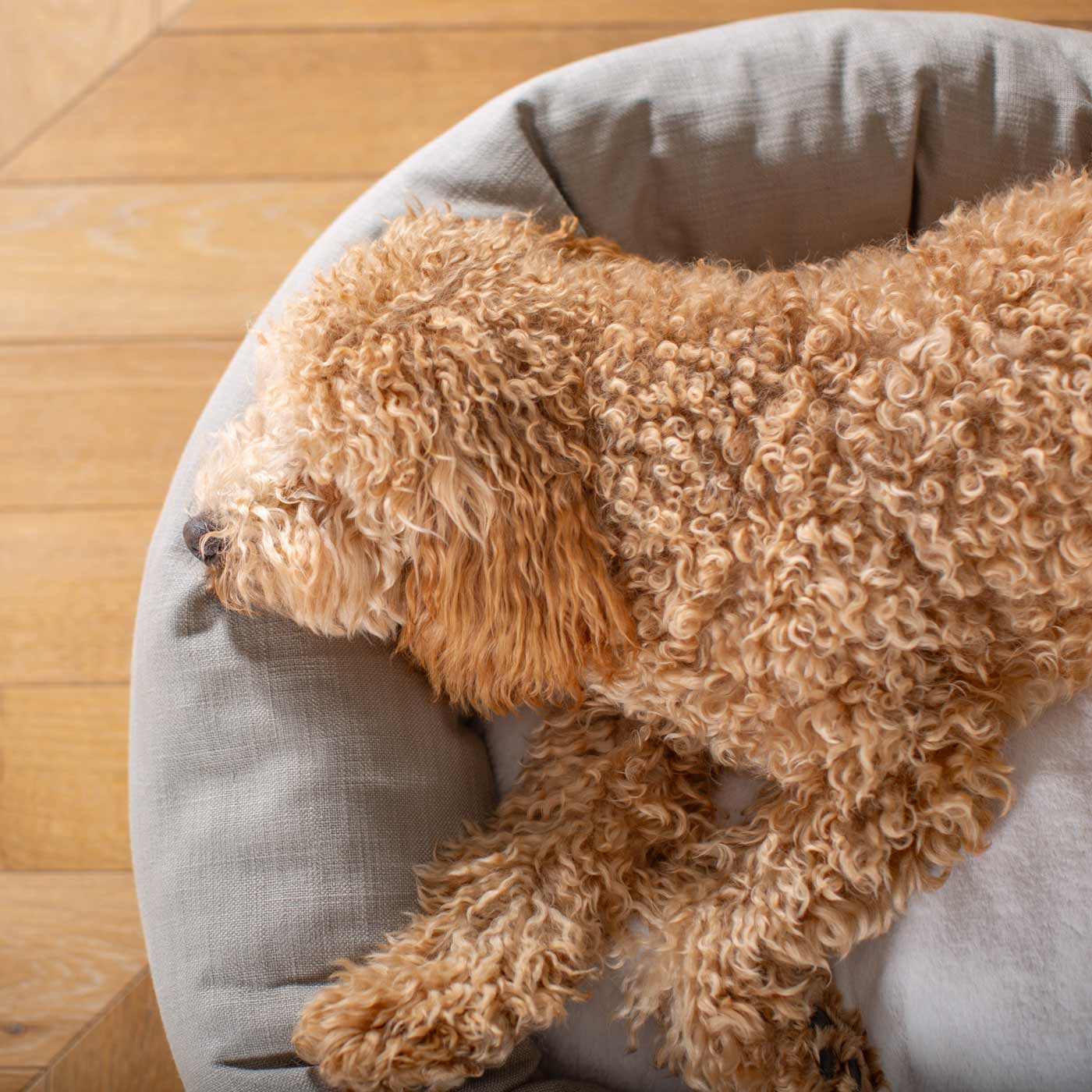 Discover Our Handmade Luxury Donut Dog Bed, In Savanna Stone, The Perfect Choice For Puppies Available Now at Lords & Labradors