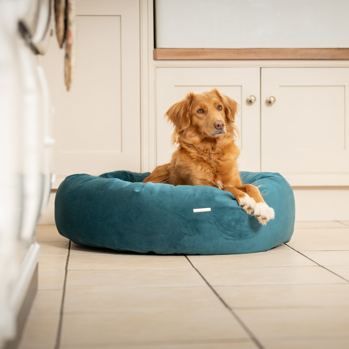 Donut Bed in Marine Velvet By Lords & Labradors