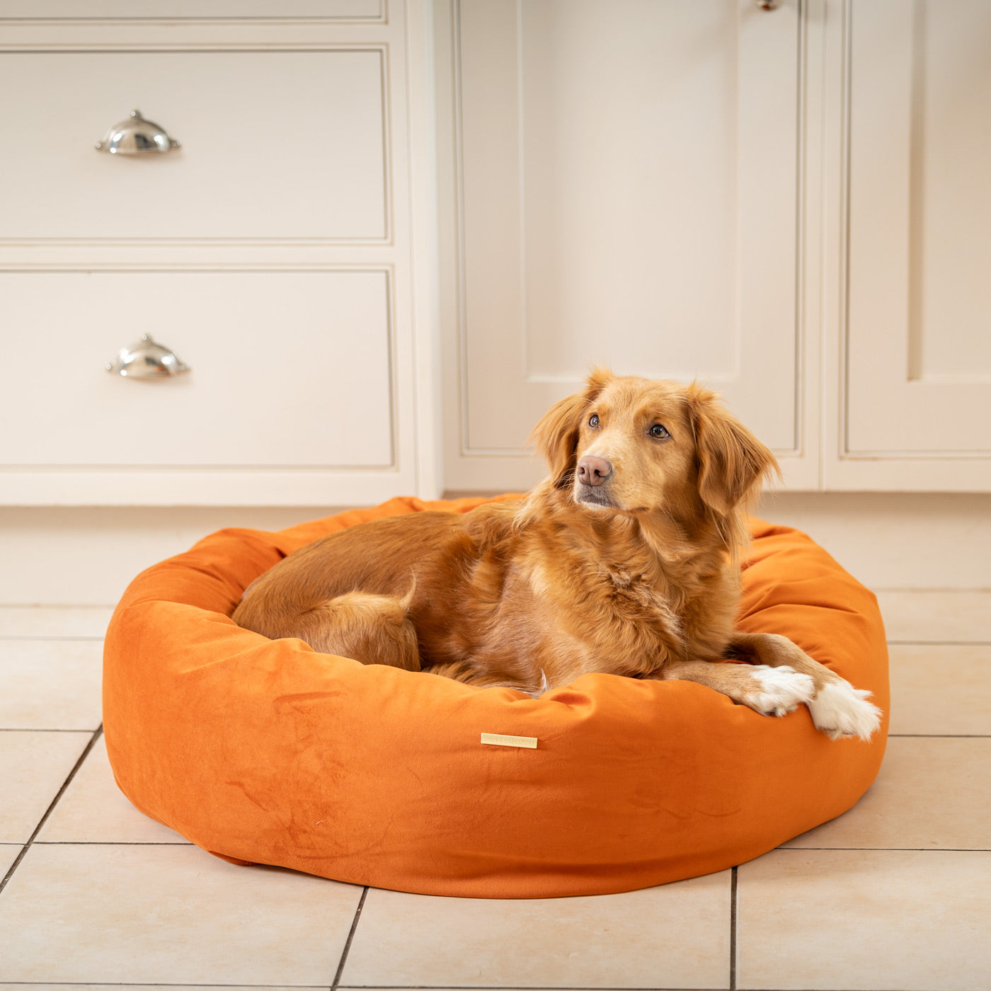 Donut Bed in Pumpkin Velvet By Lords & Labradors