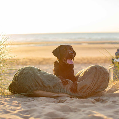 Introducing the ultimate bamboo dog drying cushion cover in beautiful fir green, made from luxurious bamboo to aid sensitive skin featuring elasticated hem for a snug fit with super absorbent material for easy pet drying! Available now at Lords & Labradors In three sizes and four colours to suit all breeds!    