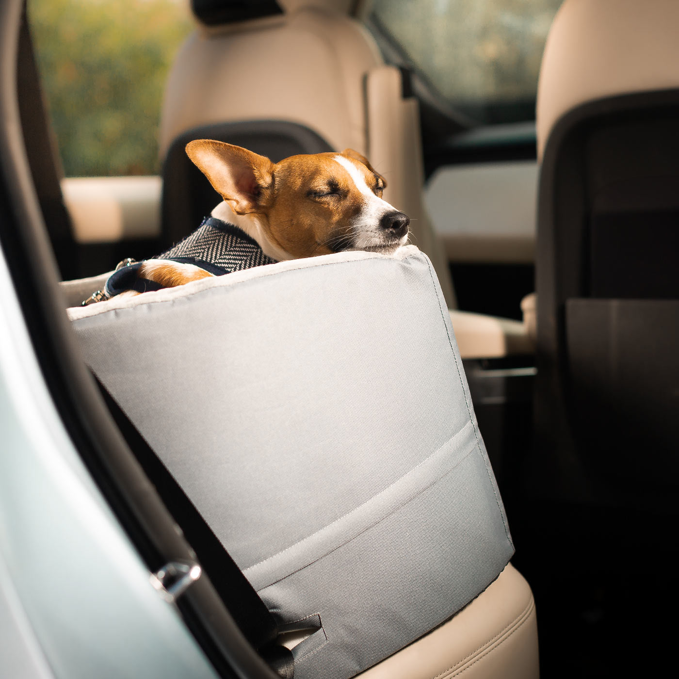 Embark on the perfect pet travel with our luxury car booster seat! Featuring removable cushion with foam padding for extra comfort! Available now at Lords & Labradors       