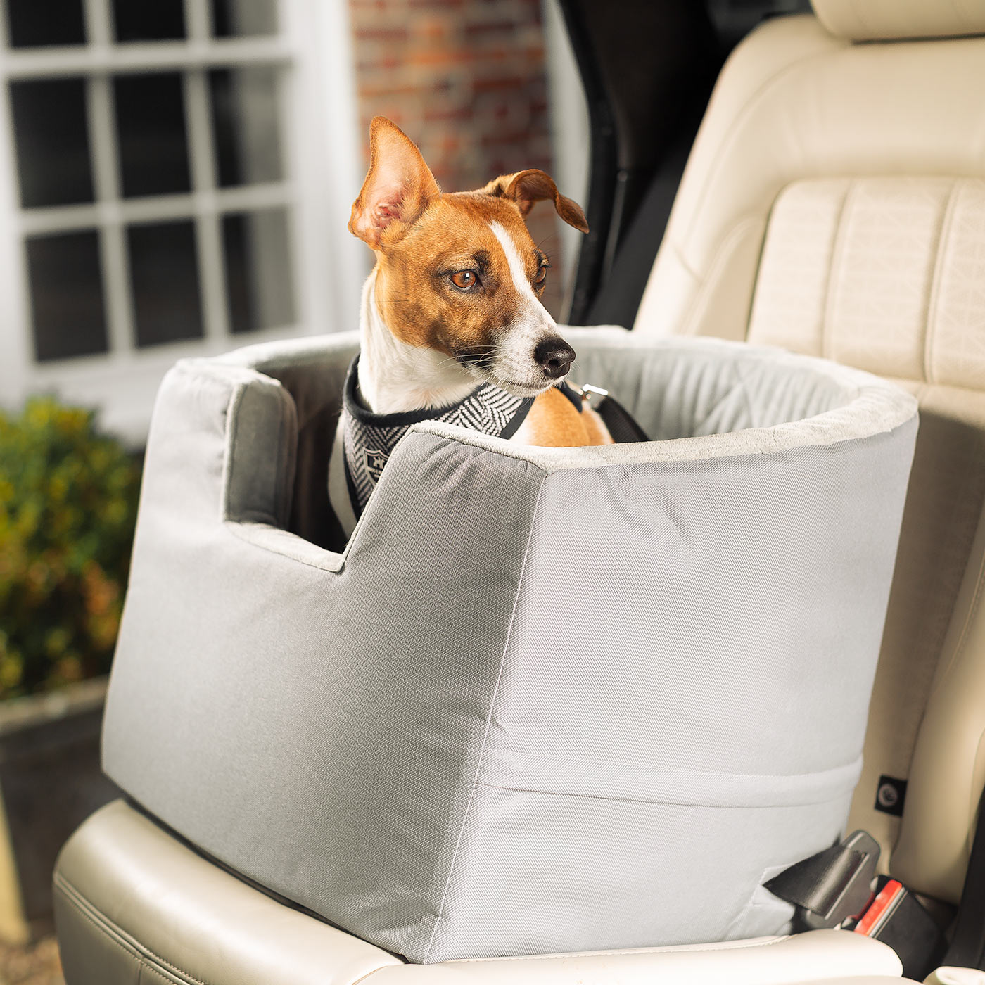 Embark on the perfect pet travel with our luxury car booster seat! Featuring removable cushion with foam padding for extra comfort! Available now at Lords & Labradors       