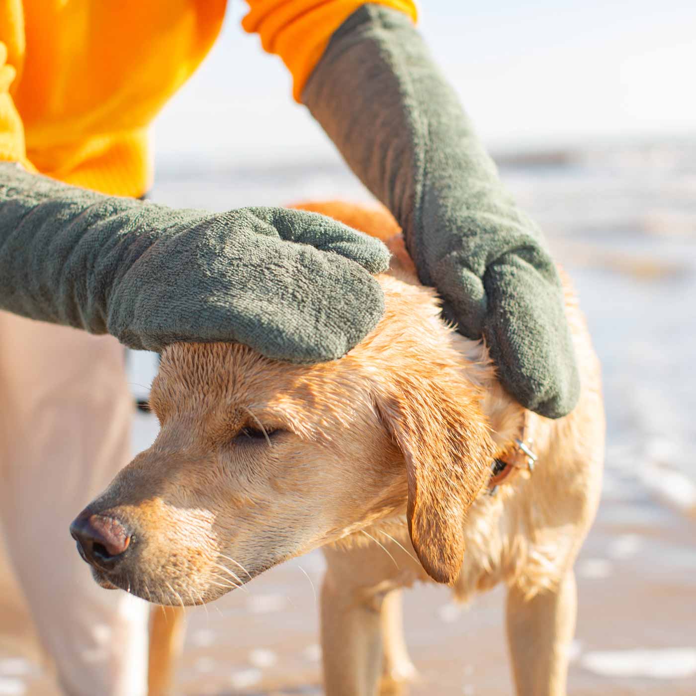 Introducing the ultimate bamboo dog drying mitts in beautiful fir green, made from luxurious bamboo to aid sensitive skin featuring universal size to fit all with super absorbent material for easy pet drying! The perfect dog drying gloves, available now at Lords & Labradors In four colours!    