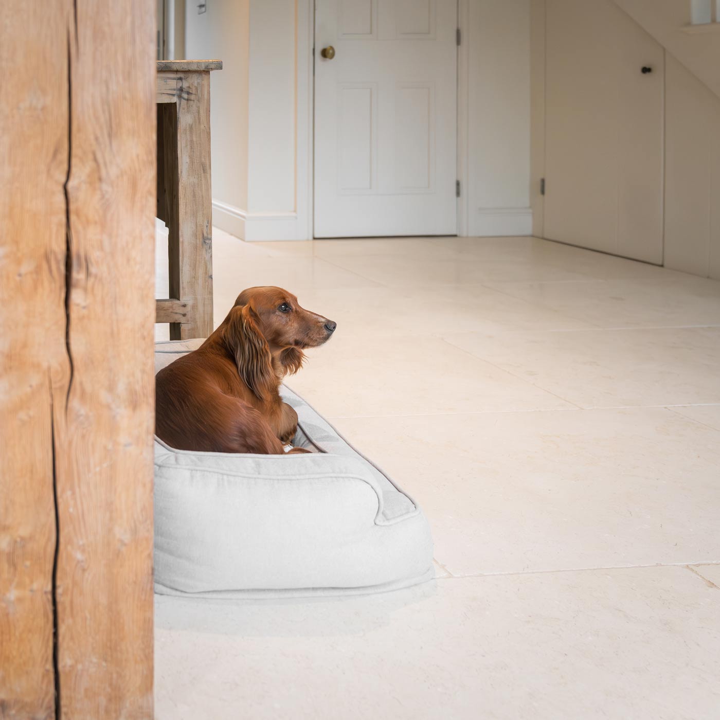 Present Your Furry Friend with the Perfect Dog Bed for The Ultimate Pet Nap-Time! Discover Our Luxury Deep Sleep Dog Bed In Stunning Alabaster! Available Now at Lords & Labradors    