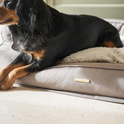 Present Your Furry Friend with the Perfect Dog Bed for The Ultimate Pet Nap-Time! Discover Our Luxury Deep Sleep Dog Bed In Stunning Putty! Available Now at Lords & Labradors    