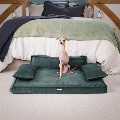 Introducing our luxury dog sofa in stunning dark green olive, featuring squishy foam inner for maximum comfort and removable arms to adjust your dog’s sleeping preference! The perfect sofa for dogs available now at Lords & Labradors    