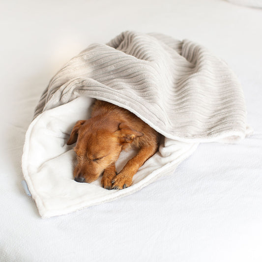 Discover Our Luxurious Light Grey Essentials Plush Dog Blanket With Super Soft Sherpa & Teddy Fleece, The Perfect Blanket For Puppies, Available To Personalise And In 2 Sizes Here at Lords & Labradors