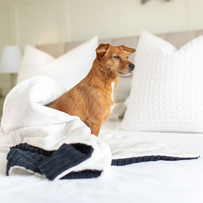  Discover Our Luxurious Navy Essentials Plush Dog Blanket With Super Soft Sherpa & Teddy Fleece, The Perfect Blanket For Puppies, Available To Personalise And In 2 Sizes Here at Lords & Labradors