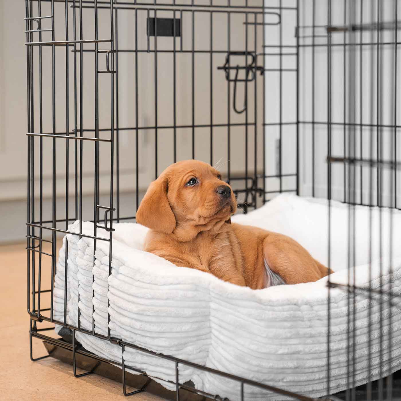  Cosy & Calm Puppy Crate Bed, The Perfect Dog Crate Accessory For The Ultimate Dog Den! In Stunning Light Grey Essentials Plush! Available Now at Lords & Labradors