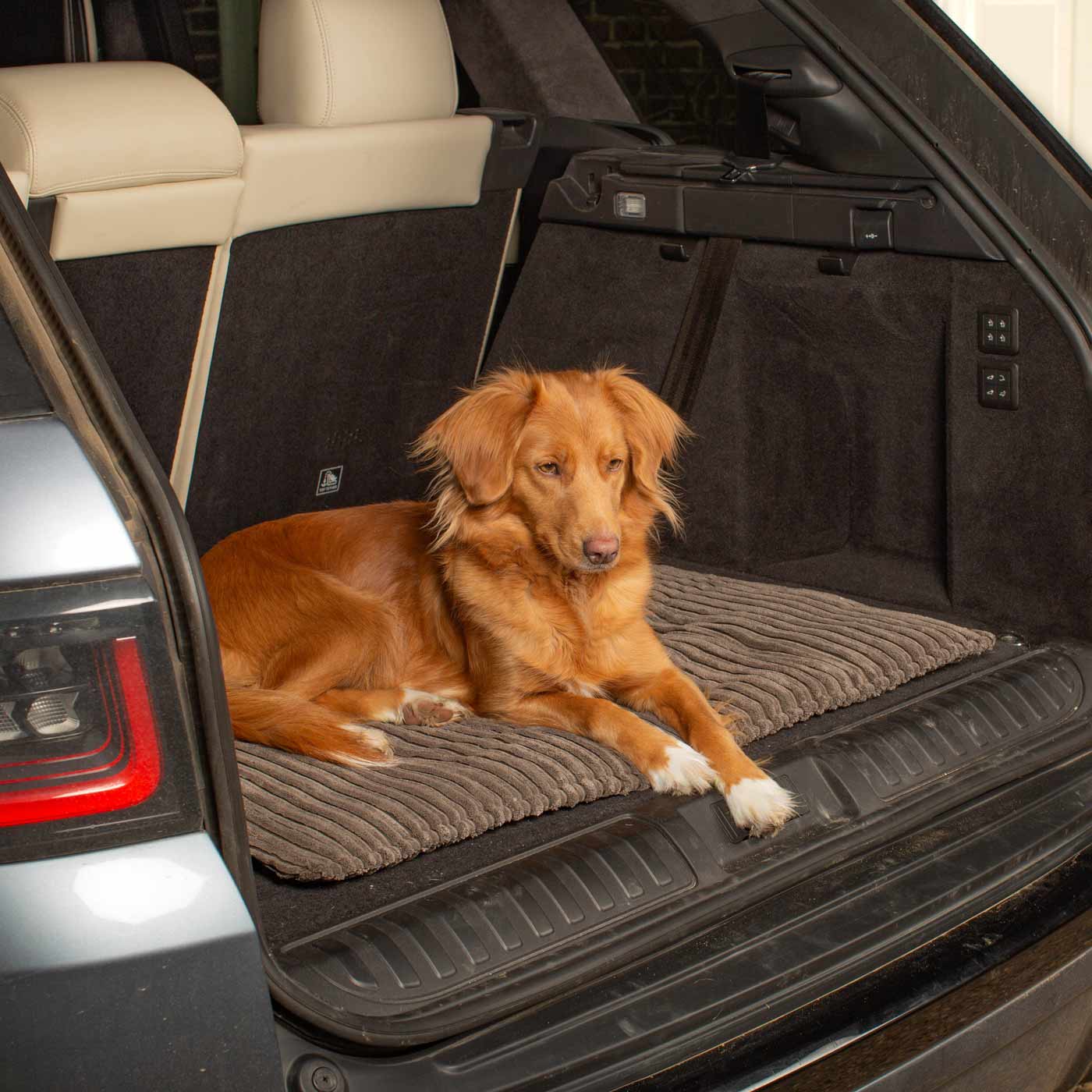 Embark on the perfect pet travel with our luxury Travel Mat in Essentials Dark Grey. Featuring a Carry handle for on the move once Rolled up for easy storage, can be used as a seat cover, boot mat or travel bed! Available now at Lords & Labradors