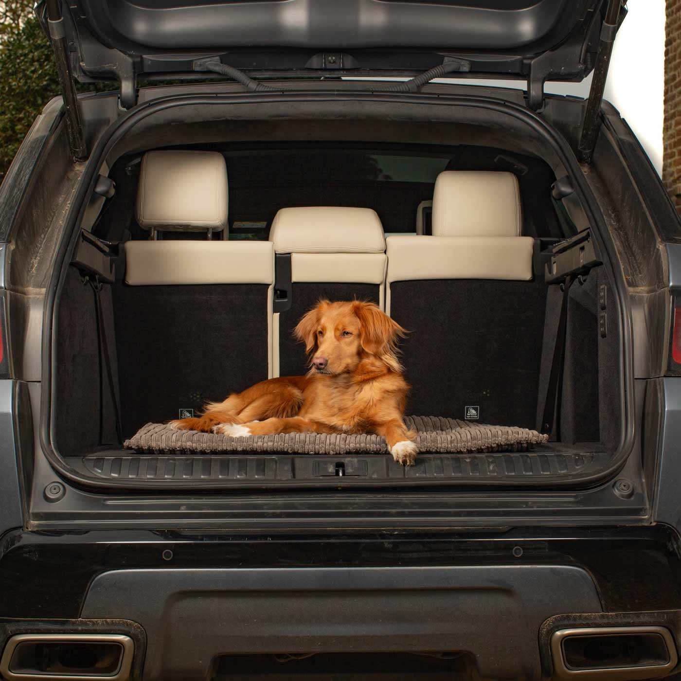 Embark on the perfect pet travel with our luxury Travel Mat in Essentials Dark Grey. Featuring a Carry handle for on the move once Rolled up for easy storage, can be used as a seat cover, boot mat or travel bed! Available now at Lords & Labradors