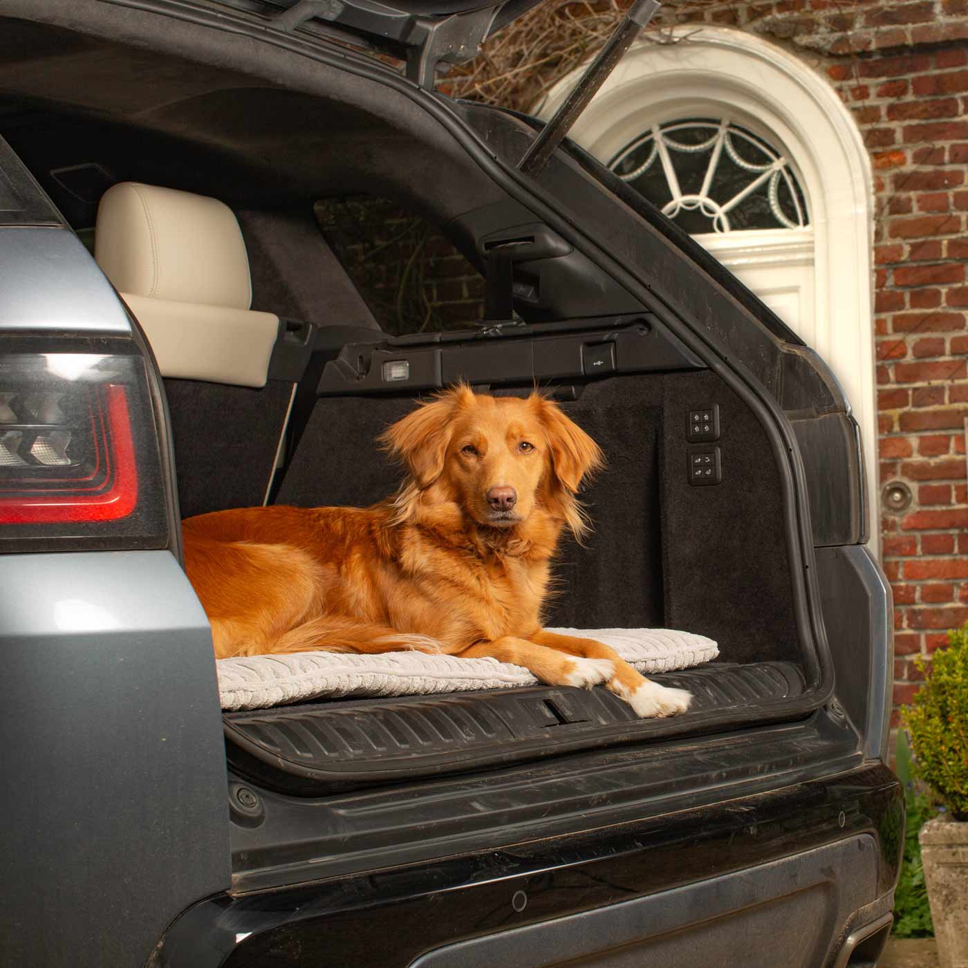 Embark on the perfect pet travel with our luxury Travel Mat in Essentials Light Grey. Featuring a Carry handle for on the move once Rolled up for easy storage, can be used as a seat cover, boot mat or travel bed! Available now at Lords & Labradors