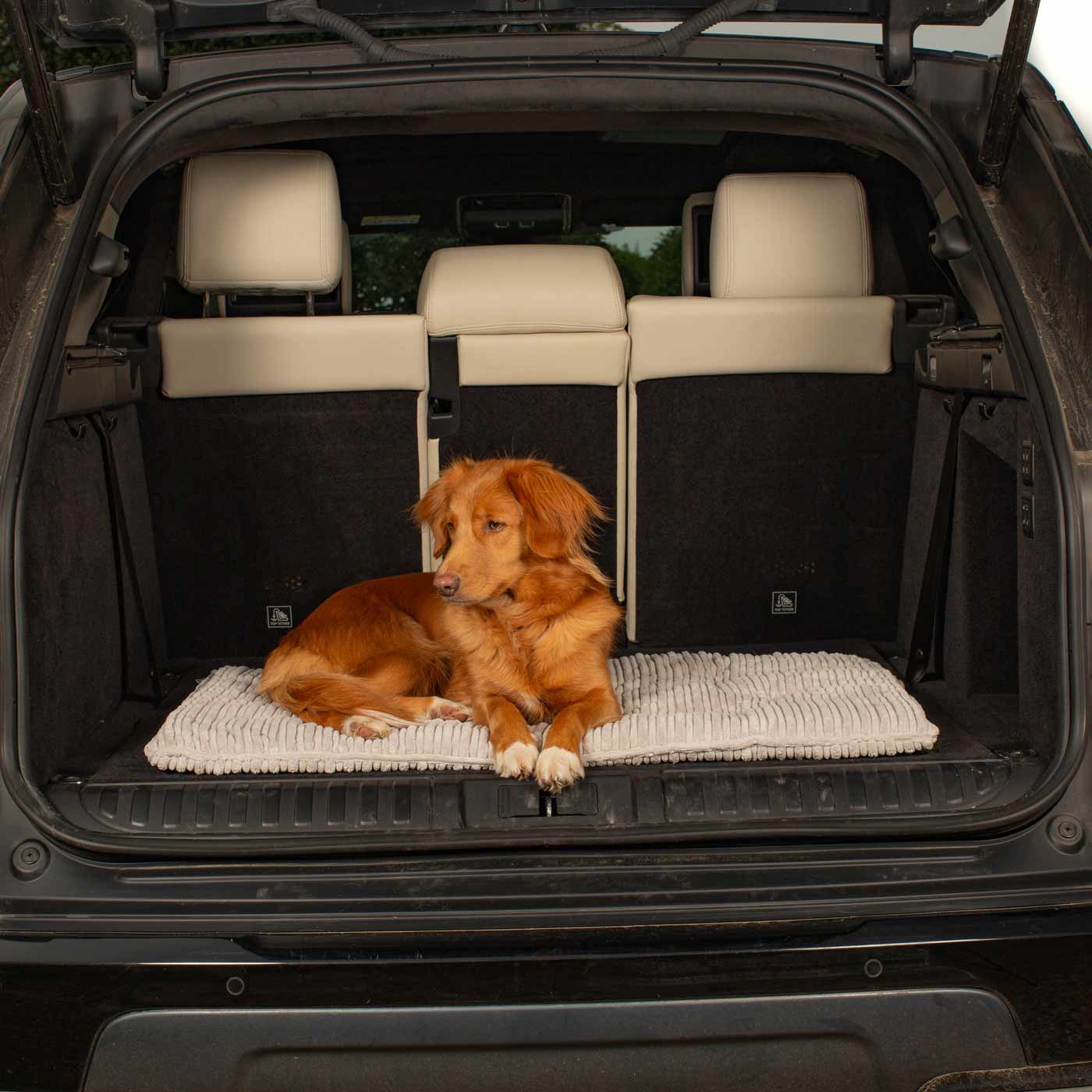 Embark on the perfect pet travel with our luxury Travel Mat in Essentials Light Grey. Featuring a Carry handle for on the move once Rolled up for easy storage, can be used as a seat cover, boot mat or travel bed! Available now at Lords & Labradors