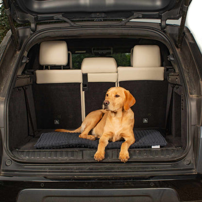 Embark on the perfect pet travel with our luxury Travel Mat in Essentials Navy. Featuring a Carry handle for on the move once Rolled up for easy storage, can be used as a seat cover, boot mat or travel bed! Available now at Lords & Labradors