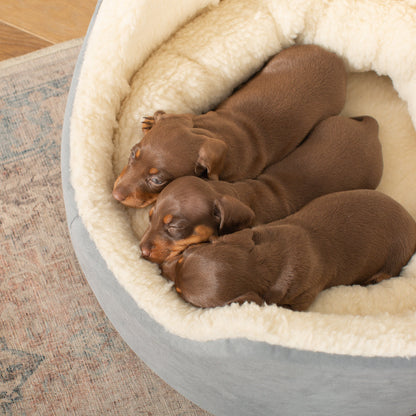 Discover our luxurious dog bed perfect for puppy growing! Crafted from plush sherpa, faux suede outer and complete with soft foam inner to present the ideal dog bed for puppies to grow! Available now at Lords & Labradors    