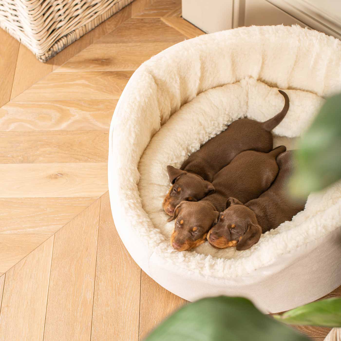  Grow With me Puppy Oval Bed, Crafted From Plush Sherpa Fleece & Suede Outer, Complete With Foam Inner For The Perfect Bed For Your Dog! Available Now at Lords & Labradors