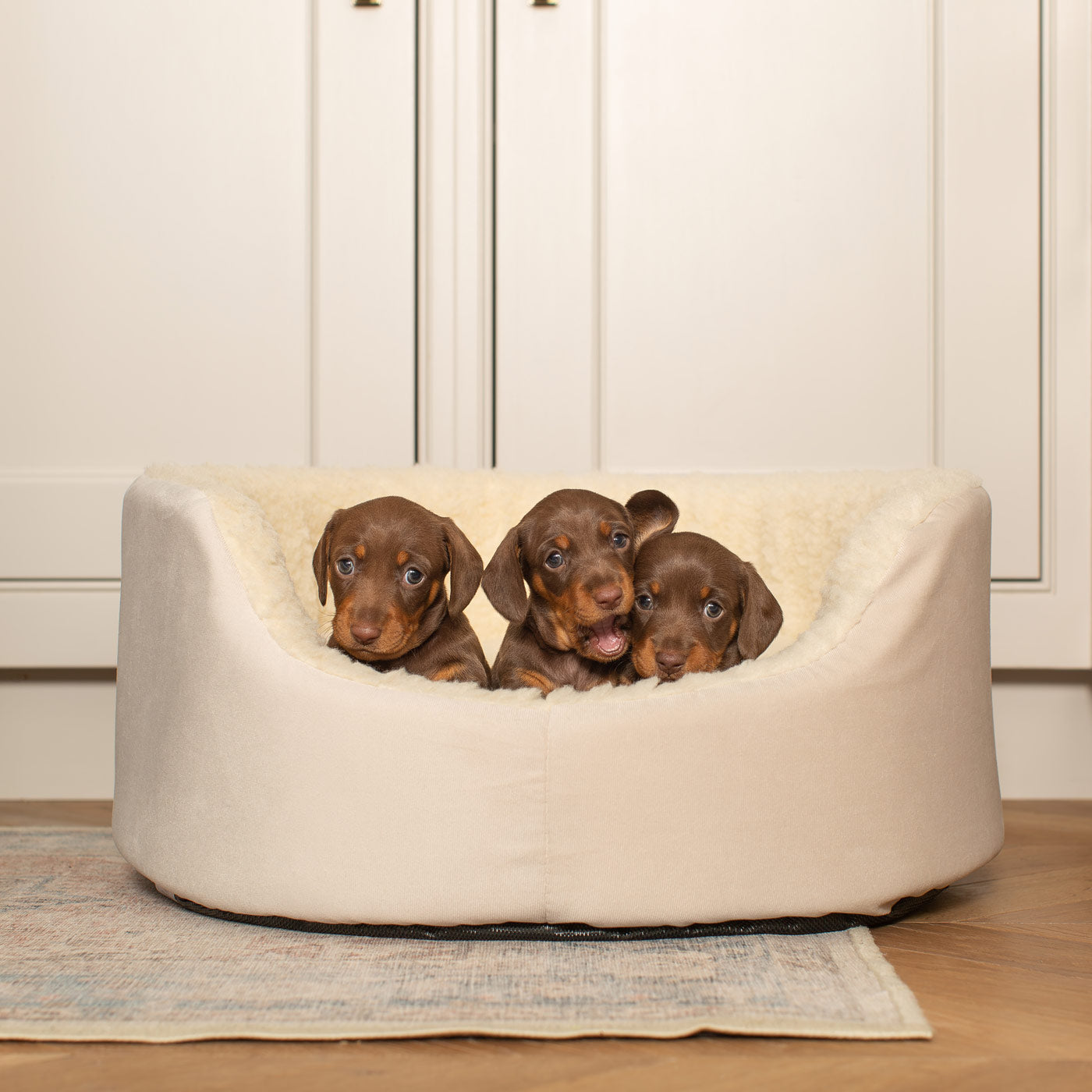  Grow With me Puppy Oval Bed, Crafted From Plush Sherpa Fleece & Suede Outer, Complete With Foam Inner For The Perfect Bed For Your Dog! Available Now at Lords & Labradors